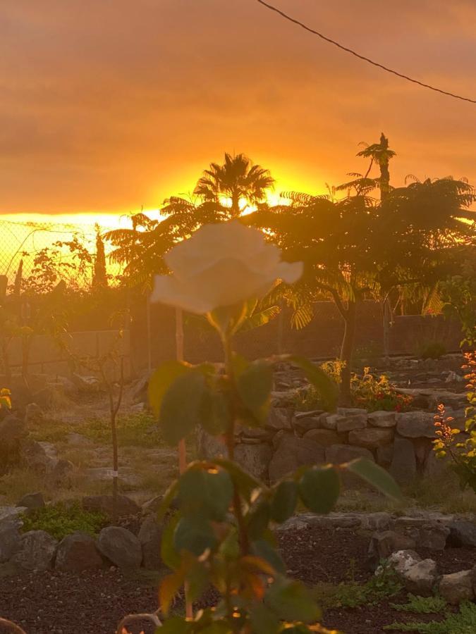 Mini Casa Finca Arcoiris Tenerife Guía de Isora Екстериор снимка